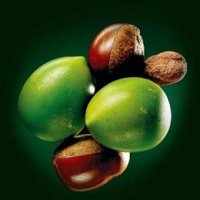 乳木果油Jarplex-SB35